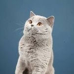 David Vanoverschelde - @davidvanoverschelde - Instagram
