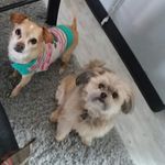 David VanSickle - @becky_massey33 - Instagram