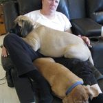 David Varney - @david.varney.77964 - Instagram