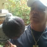 David  Alayon  Vasallo - @davidalayonvasallo - Instagram
