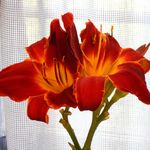 David R. Veazey - @davidr.veazey - Instagram