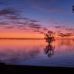 David Veitch - Facebook