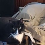 David Wilson Vermillion - @david.vermillion.965 - Instagram