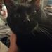 David Verrier - Facebook