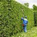David espace vert - Facebook