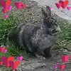 David Vert - @davidvert - TikTok