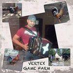 David Vertex - @davidvertex - Instagram