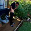 David Verwey - @david.verwey - TikTok