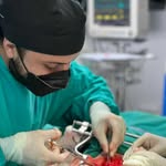 David Herrera LMV. MSc. PhD. - @davidvetmed - Instagram