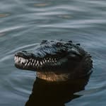 David Santiago - @david.vet_26 - Instagram