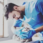 David_vet - @david_vet_story - Instagram