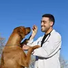 DrDavidVet - @drdavidvet - TikTok