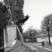 David Vetter - Facebook
