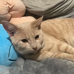 David Vibbert - @davidvibbertjr - Instagram