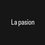 David - @david.vibe_ - Instagram