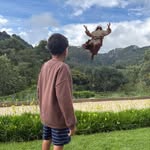David Vicent - @davivs1504 - Instagram