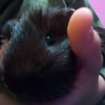 David Vícha - @david_vicha - Instagram