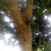 Dazo David Davidvich - Facebook