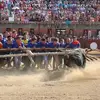 davidvigario968 - @davidvigario968 - TikTok