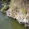 David Vigil - @david.vigil5 - TikTok