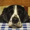 Davide Vigna - @davide.vigna - TikTok