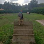 David Vigo - @david.vigo.96387 - Instagram