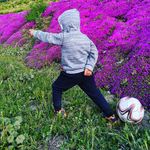 David Vigo Rojas - @davidvigorojas - Instagram