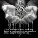 David Vila Nova - @david.vilanova.773 - Instagram