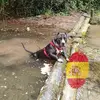 David Vilches Guardi - @david.vilches - TikTok
