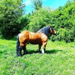 David Vilda - @vilda_david - Instagram