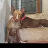 David - @david.villar2 - TikTok
