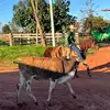 David Villar - @david.villar627 - TikTok