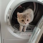 David Víšek - @visekdavid - Instagram