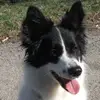David Visser - @david.visser29 - TikTok