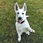 David Vítek - @davidvitek666 - Instagram