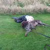ida_vortherms - @ida_vortherms - TikTok