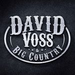 David Voss - @davidvossmusic - Instagram