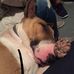 David Vue - Facebook