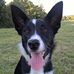 David Wackett - Facebook