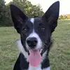 David Wackett - @david.wackett - TikTok