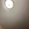 davidwages - @pokemongo9004 - TikTok