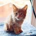 David Wagle - Facebook