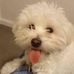David Wakeling - Facebook