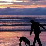 David Wales - @david.wales.77 - Instagram