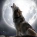 David Walizer - Facebook