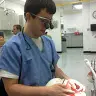 David Wallach - @davidwallach - TikTok