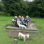 David Wallis - @davewallis2424 - Instagram