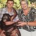 David Wallis - Facebook