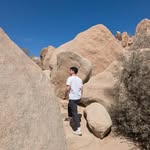 David Wallis - @dav_wallis - Instagram