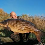 David Walther - @carpoholic_28 - Instagram